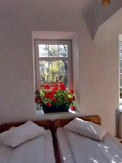 Mészkő Szállás | Motel (K0442-11) A kép szerzői jogvédelem alatt állhat. Javasolt a kapcsolatfelvétel a jog tulajdonossal.