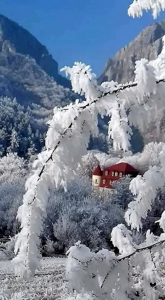 Mészkő Szállás | Motel (K0442-30) A kép szerzői jogvédelem alatt állhat. Javasolt a kapcsolatfelvétel a jog tulajdonossal.