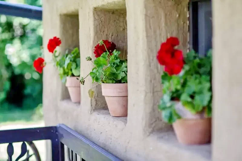 Bögöz Szállás | Hotel**** (K0465-11) A kép szerzői jogvédelem alatt állhat. Javasolt a kapcsolatfelvétel a jog tulajdonossal.