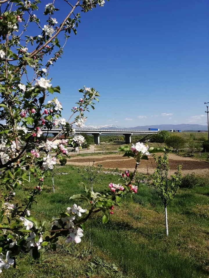 Caransebeș Cazare | Pensiune (K1457-49) Imaginea poate fi supusă drepturilor de autor. Se recomandă contactarea titularului drepturilor.