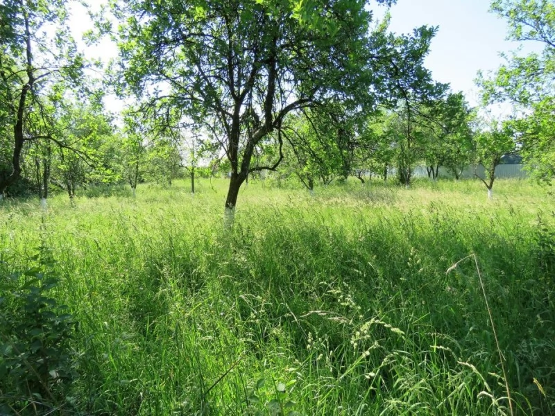 Karánsebes Szállás | Panzió (K1457-52) A kép szerzői jogvédelem alatt állhat. Javasolt a kapcsolatfelvétel a jog tulajdonossal.