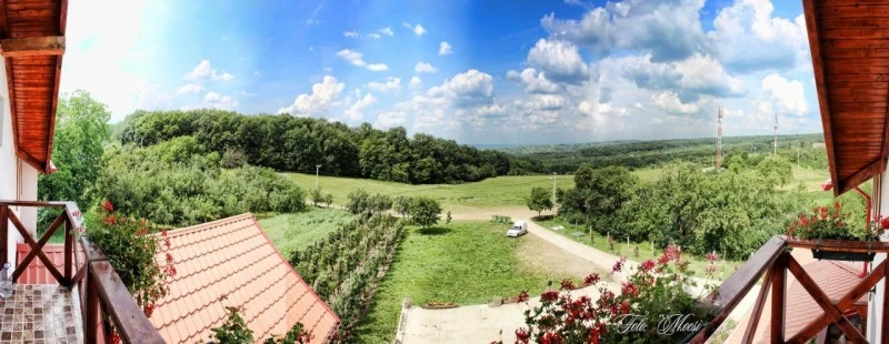 Szilágycseh Szállás | Panzió (K0627-23) A kép szerzői jogvédelem alatt állhat. Javasolt a kapcsolatfelvétel a jog tulajdonossal.
