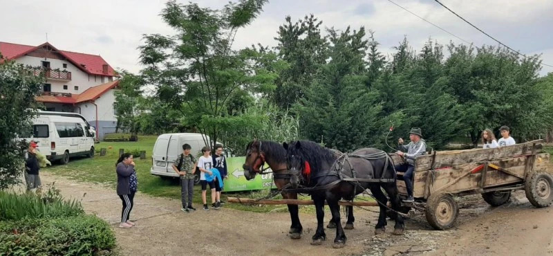 Cehu Silvaniei Cazare | Pensiune (K0627-45) Imaginea poate fi supusă drepturilor de autor. Se recomandă contactarea titularului drepturilor.