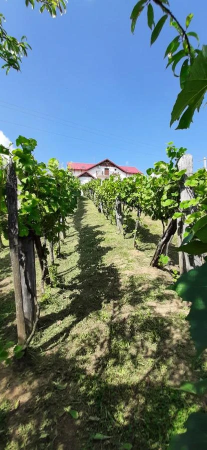 Cehu Silvaniei Cazare | Pensiune (K0627-47) Imaginea poate fi supusă drepturilor de autor. Se recomandă contactarea titularului drepturilor.