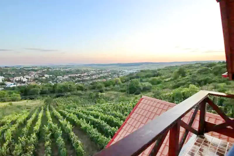 Szilágycseh Szállás | Panzió (K0627-50) A kép szerzői jogvédelem alatt állhat. Javasolt a kapcsolatfelvétel a jog tulajdonossal.
