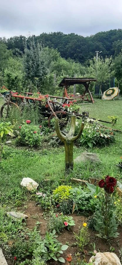 Cehu Silvaniei Cazare | Pensiune (K0627-60) Imaginea poate fi supusă drepturilor de autor. Se recomandă contactarea titularului drepturilor.
