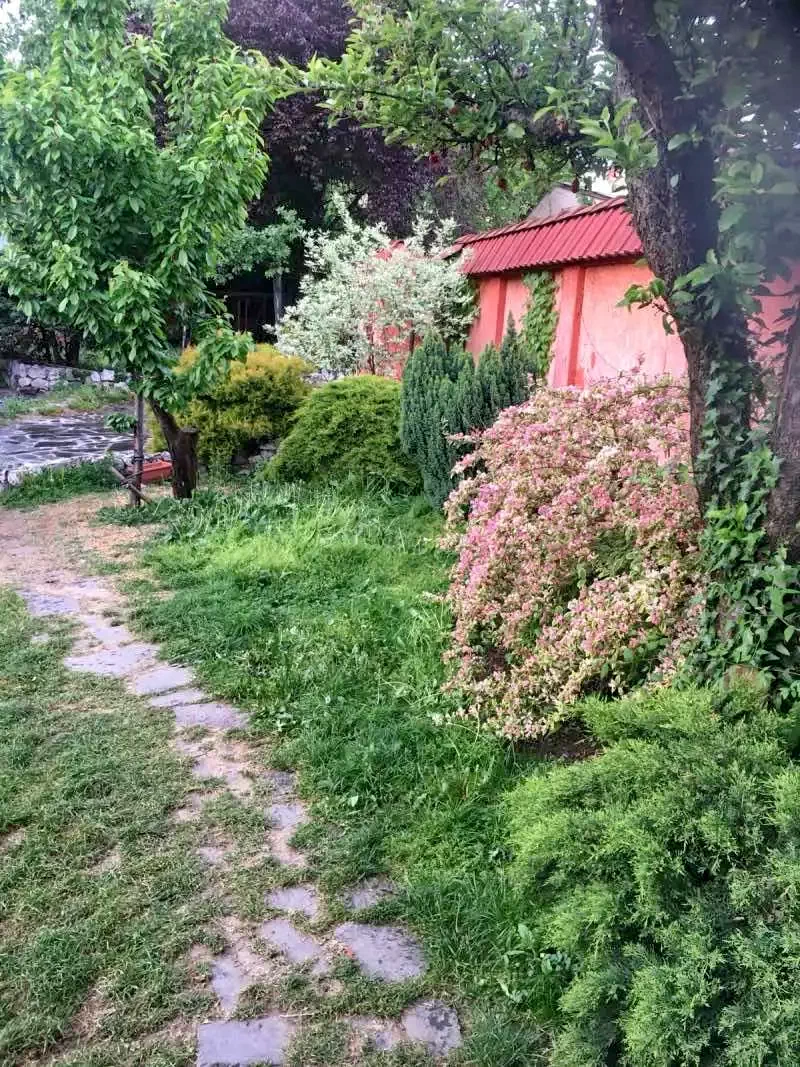 Nagyvárad Szállás | Panzió (K0955-2) A kép szerzői jogvédelem alatt állhat. Javasolt a kapcsolatfelvétel a jog tulajdonossal.