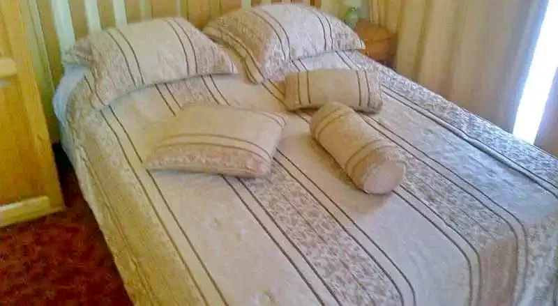 Oradea Cazare | Pensiune (K0957-15) Imaginea poate fi supusă drepturilor de autor. Se recomandă contactarea titularului drepturilor.