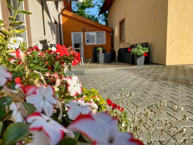 Sovata Cazare | Casă de oaspeți (K1414-44) Imaginea poate fi supusă drepturilor de autor. Se recomandă contactarea titularului drepturilor.