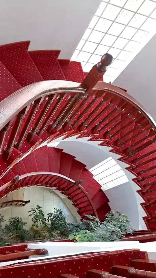 Sânmartin Cazare | Motel (K0956-38) Imaginea poate fi supusă drepturilor de autor. Se recomandă contactarea titularului drepturilor.