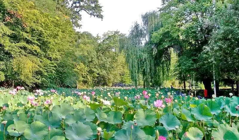 Püspökfürdő Szállás | Motel (K0944-41) A kép szerzői jogvédelem alatt állhat. Javasolt a kapcsolatfelvétel a jog tulajdonossal.