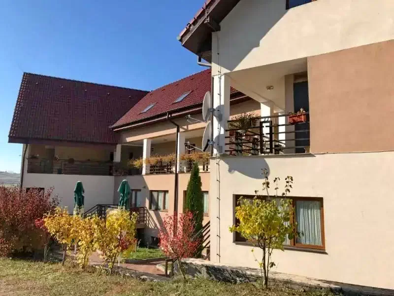 Szállás Petreștii de Jos - Pensiunea Laura***|Magyarpeterd - Laura Panzió***. A kép szerzői jogvédelem alatt állhat. Javasolt a kapcsolatfelvétel a jog tulajdonossal.