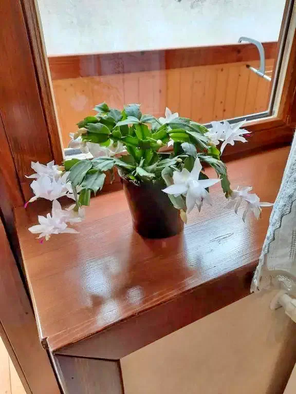 Băile Tușnad Cazare | Motel (K0584-20) Imaginea poate fi supusă drepturilor de autor. Se recomandă contactarea titularului drepturilor.