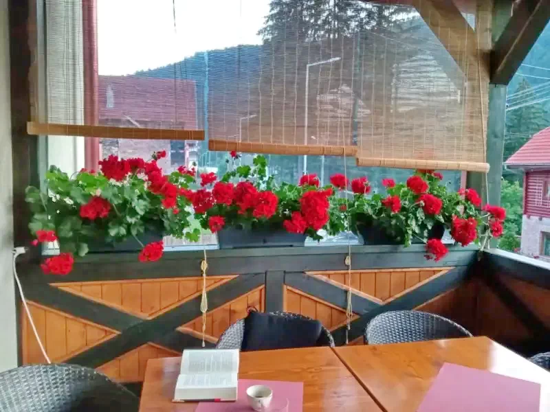 Băile Tușnad Cazare | Vila (K0687-28) Imaginea poate fi supusă drepturilor de autor. Se recomandă contactarea titularului drepturilor.