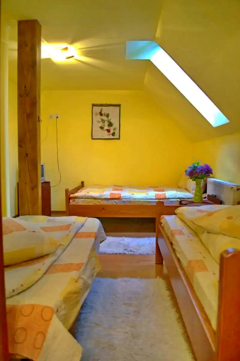 Szállás Băile Tușnad - Casa de Oaspeți Viragh Ibolya | Tusnádfürdő - Virágh Ibolya Vendégház. A kép szerzői jogvédelem alatt állhat. Javasolt a kapcsolatfelvétel a jog tulajdonossal.