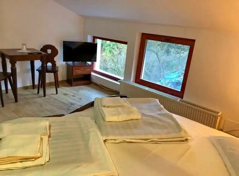 Băile Tușnad Cazare | Vila (K1279-13) Imaginea poate fi supusă drepturilor de autor. Se recomandă contactarea titularului drepturilor.