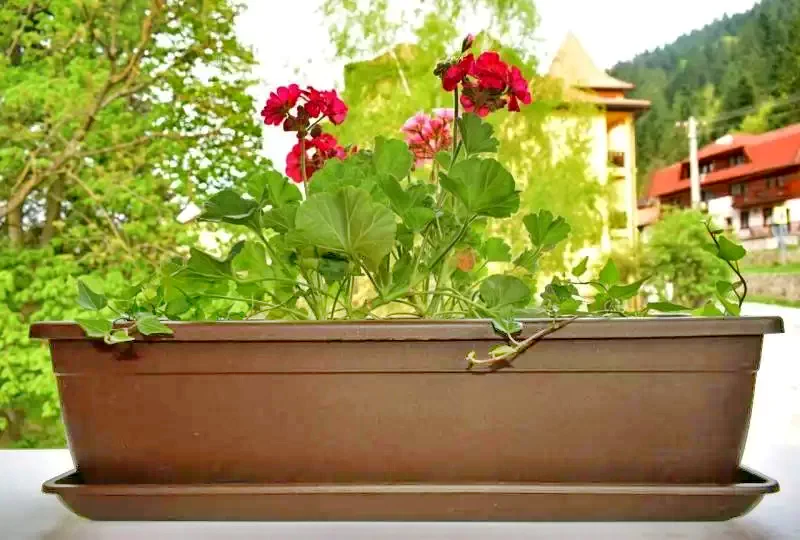 Tusnádfürdő Szállás | Turisztikai panzió (K1290-27) A kép szerzői jogvédelem alatt állhat. Javasolt a kapcsolatfelvétel a jog tulajdonossal.