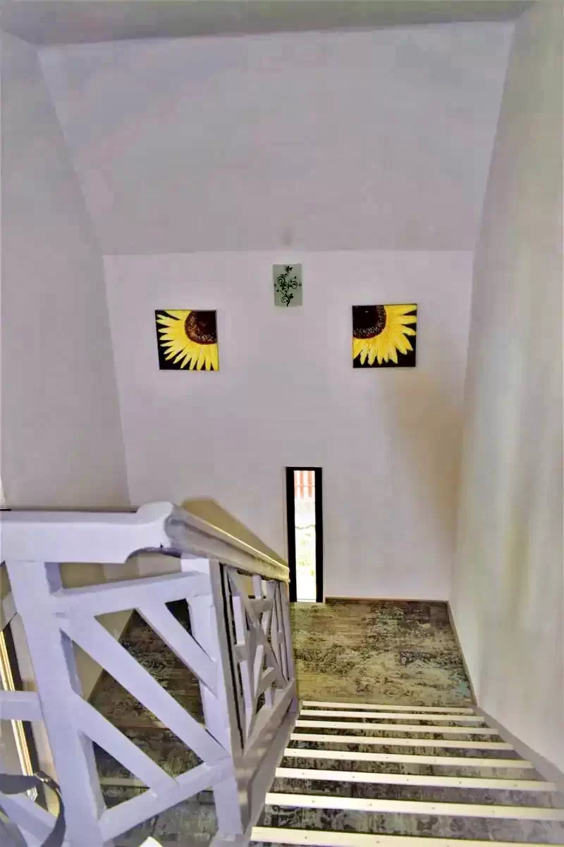 Tusnádfürdő Szállás | Motel (K1291-19) A kép szerzői jogvédelem alatt állhat. Javasolt a kapcsolatfelvétel a jog tulajdonossal.