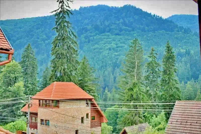 Băile Tușnad Cazare | Pensiune turistică (K1292-41) Imaginea poate fi supusă drepturilor de autor. Se recomandă contactarea titularului drepturilor.