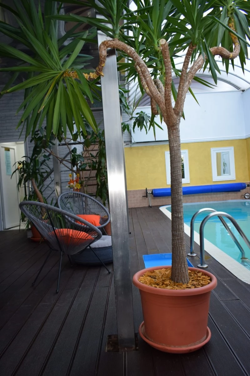 Băile Tușnad Cazare | Pensiune turistică (K1292-58) Imaginea poate fi supusă drepturilor de autor. Se recomandă contactarea titularului drepturilor.