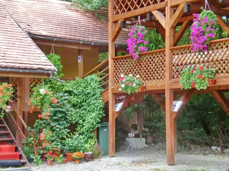 Szállás Sovata - Vila Sissi *** | Szováta - Sissi Villa ***. A kép szerzői jogvédelem alatt állhat. Javasolt a kapcsolatfelvétel a jog tulajdonossal.