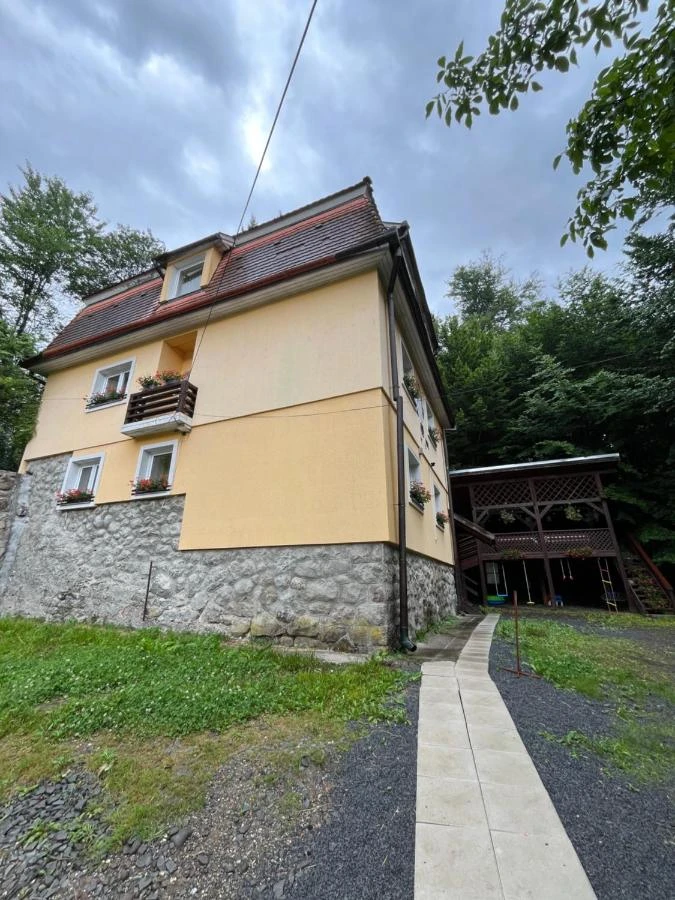 Szállás Sovata - Vila Sissi *** | Szováta - Sissi Villa ***. A kép szerzői jogvédelem alatt állhat. Javasolt a kapcsolatfelvétel a jog tulajdonossal.