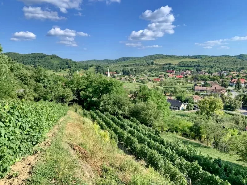 Szállás Călușeri - Pensiunea Akác *** | Székelykál - Akác Panzió ***. A kép szerzői jogvédelem alatt állhat. Javasolt a kapcsolatfelvétel a jog tulajdonossal.