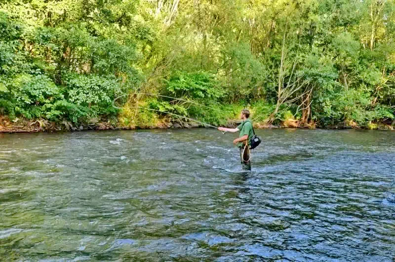 Sub Cetate Cazare | Sat de vacanță (K0500-21) Imaginea poate fi supusă drepturilor de autor. Se recomandă contactarea titularului drepturilor.