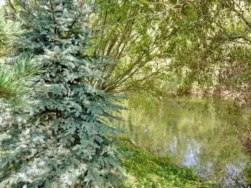 Zeteváralja Szállás | Kulcsosház (K0516-28) A kép szerzői jogvédelem alatt állhat. Javasolt a kapcsolatfelvétel a jog tulajdonossal.
