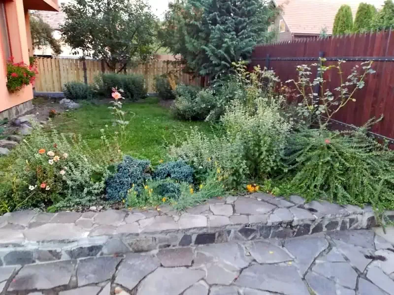 Szállás Sub Cetate - Pensiunea Kállai | Zeteváralja - Kállai Panzió. A kép szerzői jogvédelem alatt állhat. Javasolt a kapcsolatfelvétel a jog tulajdonossal.
