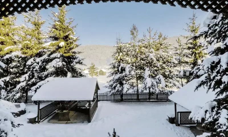 Frumoasa Cazare | Motel (K0089-29) Imaginea poate fi supusă drepturilor de autor. Se recomandă contactarea titularului drepturilor.