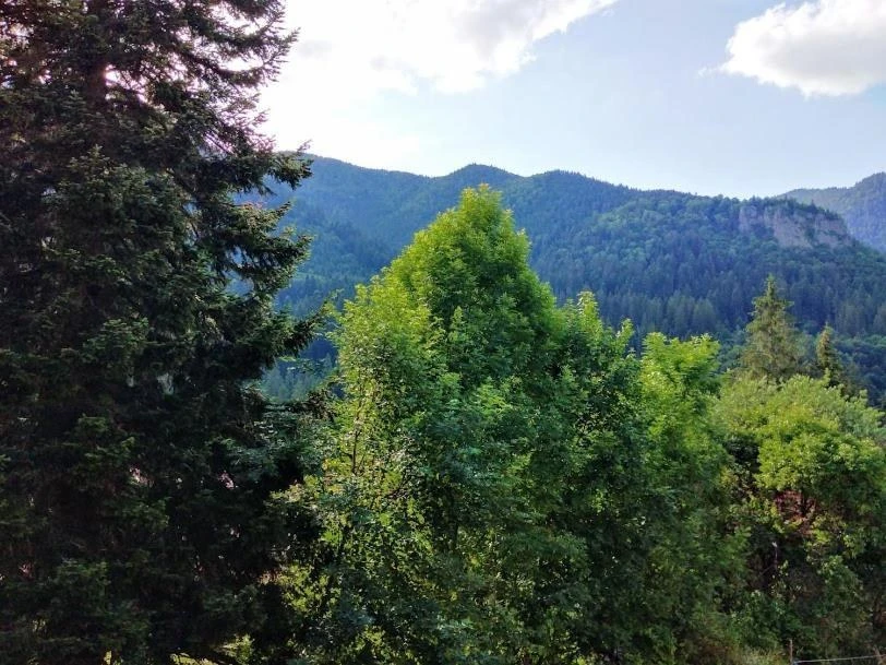 Băile Tușnad Cazare | Pensiune (K1158-9) Imaginea poate fi supusă drepturilor de autor. Se recomandă contactarea titularului drepturilor.
