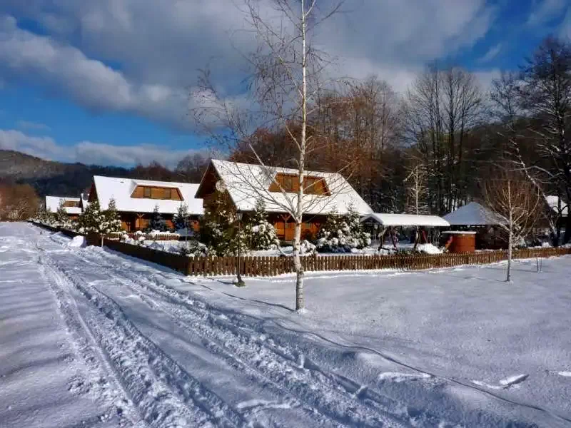Szállás Zetea - Casa la cheie Nagy Lak III-VII. *** | Zeteváralja - Nagy Lak III-VII. Kulcsosházak ***. A kép szerzői jogvédelem alatt állhat. Javasolt a kapcsolatfelvétel a jog tulajdonossal.