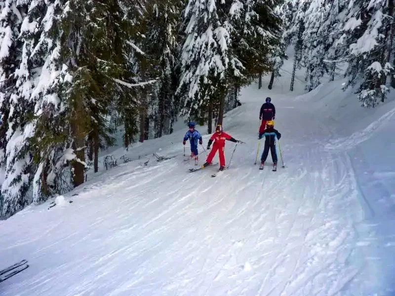 Szállás Zetea - Casa la cheie Nagy Lak III-VII. *** | Zeteváralja - Nagy Lak III-VII. Kulcsosházak ***. A kép szerzői jogvédelem alatt állhat. Javasolt a kapcsolatfelvétel a jog tulajdonossal.