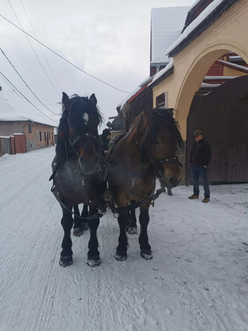 Kápolnásfalu Szállás | Panzió (K0774-32) A kép szerzői jogvédelem alatt állhat. Javasolt a kapcsolatfelvétel a jog tulajdonossal.