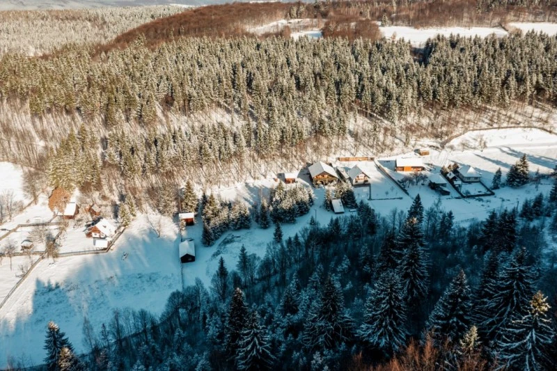 Izvoare Cazare | Cabană (K0225-53) Imaginea poate fi supusă drepturilor de autor. Se recomandă contactarea titularului drepturilor.