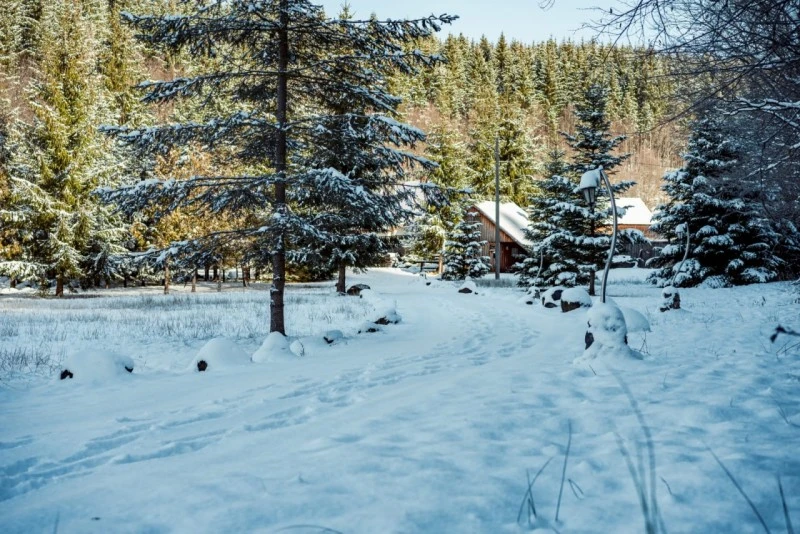 Izvoare Cazare | Cabană (K0225-54) Imaginea poate fi supusă drepturilor de autor. Se recomandă contactarea titularului drepturilor.