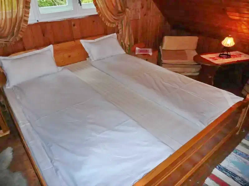 Izvoare Cazare | Cabană (K0281-31) Imaginea poate fi supusă drepturilor de autor. Se recomandă contactarea titularului drepturilor.