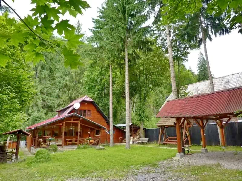Izvoare Cazare | Cabană (K0281-39) Imaginea poate fi supusă drepturilor de autor. Se recomandă contactarea titularului drepturilor.