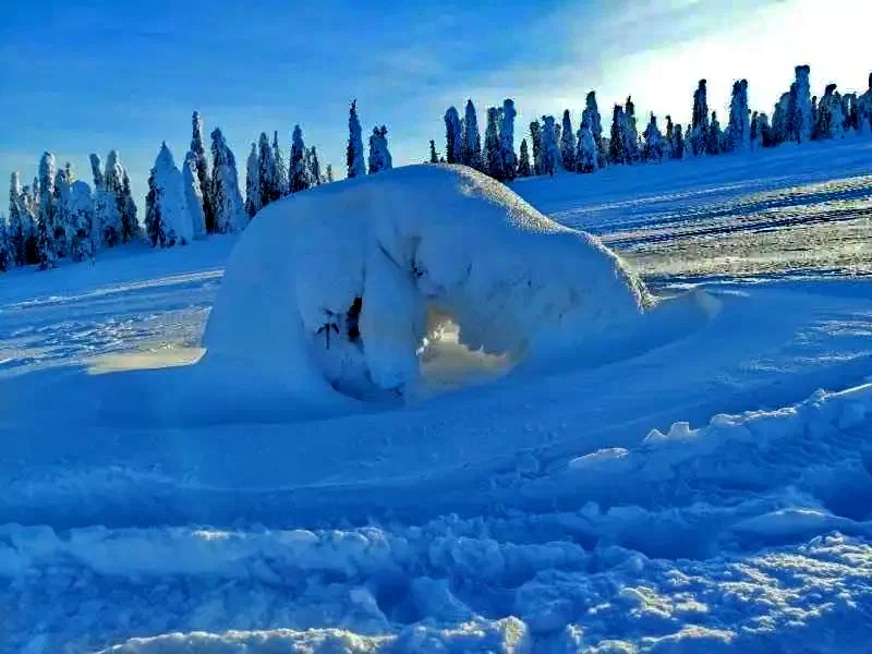 Izvoare Cazare | Cabană (K0388-37) Imaginea poate fi supusă drepturilor de autor. Se recomandă contactarea titularului drepturilor.