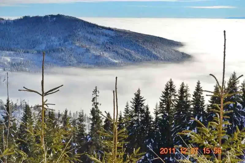 Izvoare Cazare | Cabană (K0388-40) Imaginea poate fi supusă drepturilor de autor. Se recomandă contactarea titularului drepturilor.