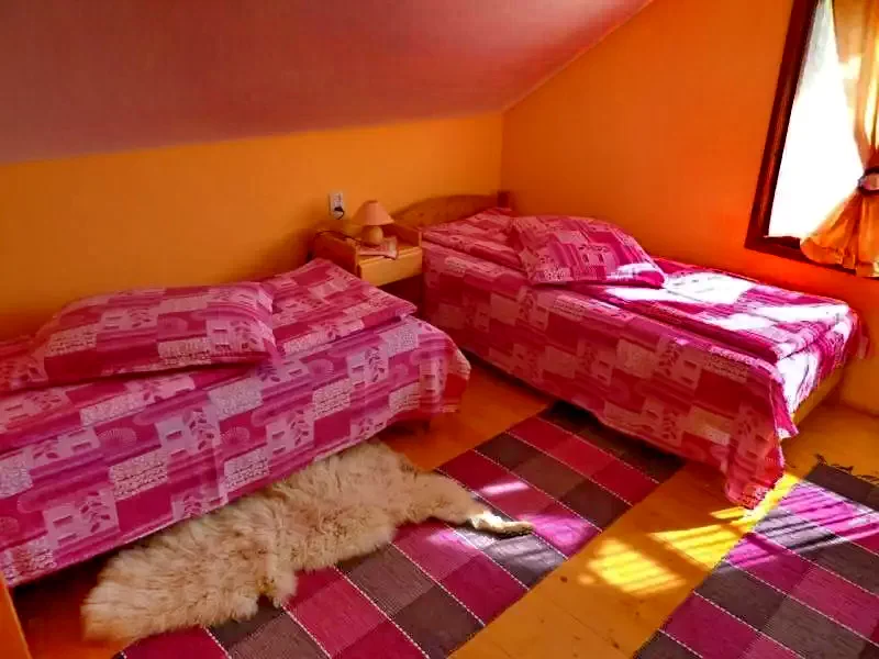 Izvoare Cazare | Cabană (K0404-5) Imaginea poate fi supusă drepturilor de autor. Se recomandă contactarea titularului drepturilor.