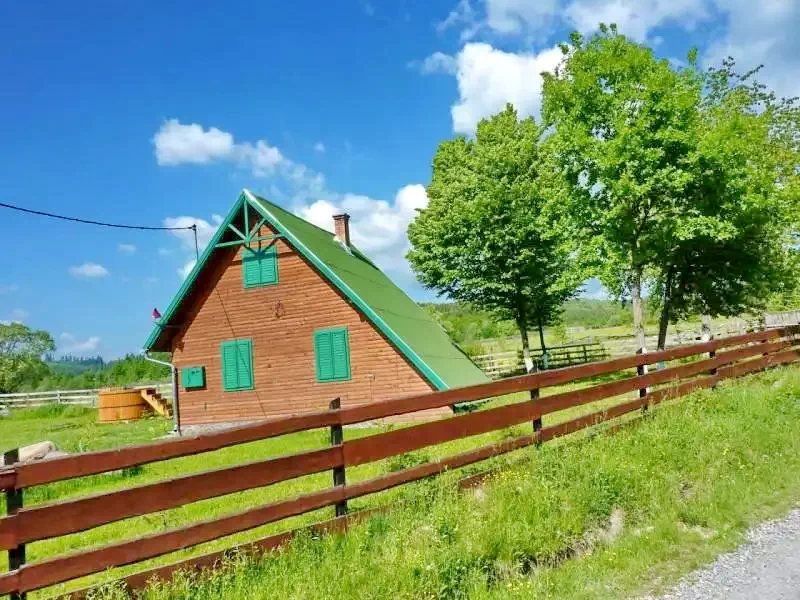 Izvoare Cazare | Cabană (K0519-2) Imaginea poate fi supusă drepturilor de autor. Se recomandă contactarea titularului drepturilor.