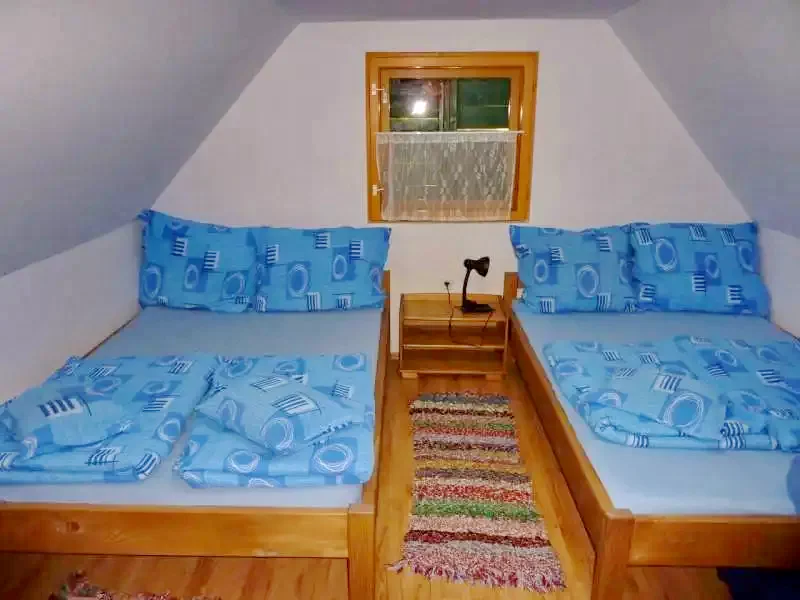Izvoare Cazare | Cabană (K0519-19) Imaginea poate fi supusă drepturilor de autor. Se recomandă contactarea titularului drepturilor.