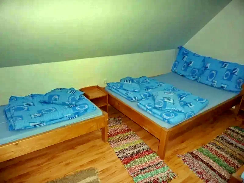 Izvoare Cazare | Cabană (K0519-20) Imaginea poate fi supusă drepturilor de autor. Se recomandă contactarea titularului drepturilor.