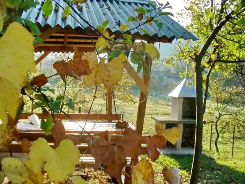Szállás Chișcău - Cabana Măduța Traian | Kiskoh - Măduța Traian Kulcsosház. A kép szerzői jogvédelem alatt állhat. Javasolt a kapcsolatfelvétel a jog tulajdonossal.