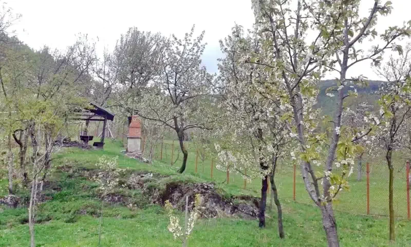 Szállás Chișcău - Cabana Măduța Traian | Kiskoh - Măduța Traian Kulcsosház. A kép szerzői jogvédelem alatt állhat. Javasolt a kapcsolatfelvétel a jog tulajdonossal.