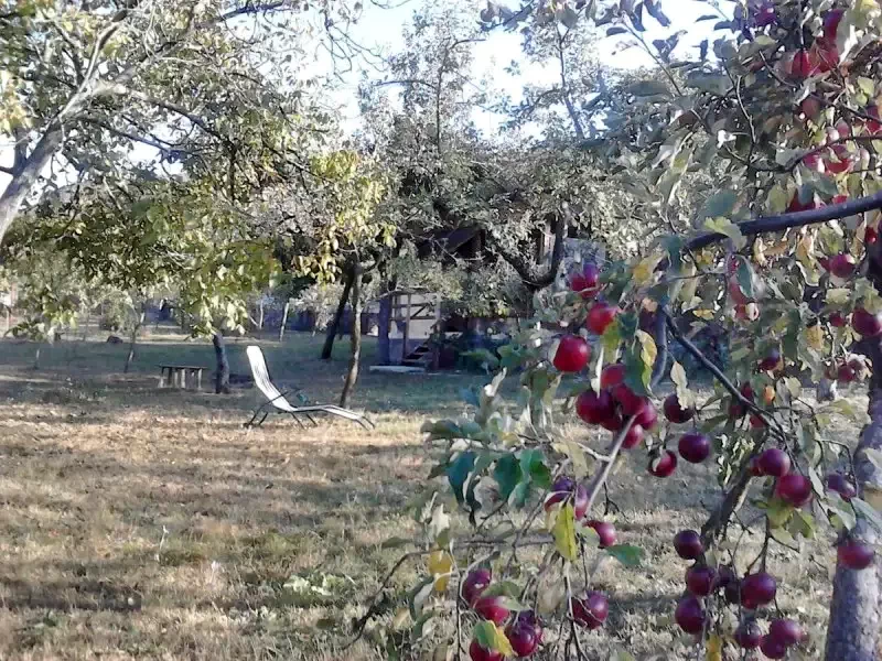 Szállás Chișcău - Cabana Măduța Traian | Kiskoh - Măduța Traian Kulcsosház. A kép szerzői jogvédelem alatt állhat. Javasolt a kapcsolatfelvétel a jog tulajdonossal.