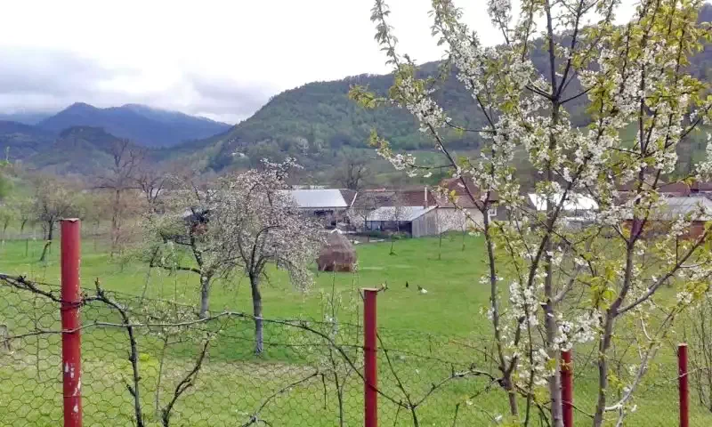 Szállás Chișcău - Cabana Măduța Traian | Kiskoh - Măduța Traian Kulcsosház. A kép szerzői jogvédelem alatt állhat. Javasolt a kapcsolatfelvétel a jog tulajdonossal.
