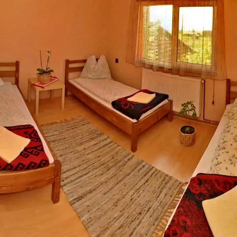 Coltău Cazare | Motel (K1004-5) Imaginea poate fi supusă drepturilor de autor. Se recomandă contactarea titularului drepturilor.